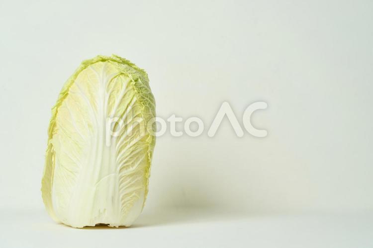 白菜とコピースペース 白菜,野菜,食べ物の写真素材