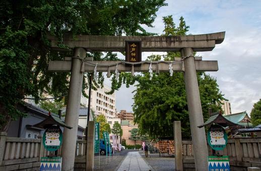 今戸神社の鳥居 今戸神社,浅草,鳥居の写真素材
