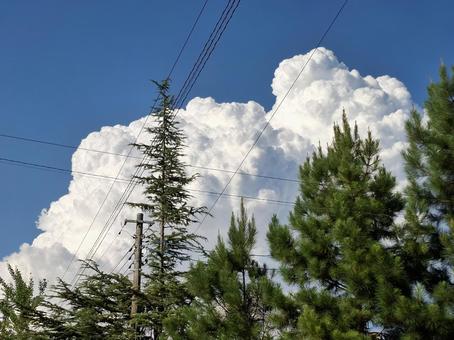 巷からの空〜8月〜① 20250808 巷からの空〜8月〜① 20250808 巷,住宅街,空の写真素材
