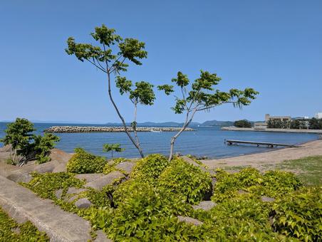 青森の海 青森の海 海,青空,風景の写真素材