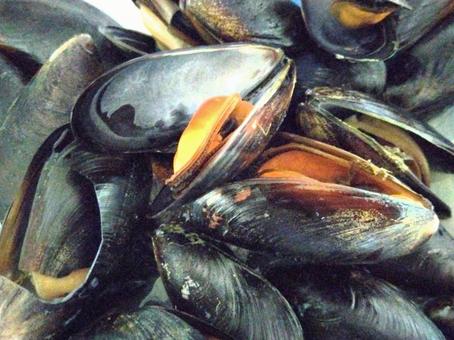 ムール貝 ムール貝,食材,シーフードの写真素材