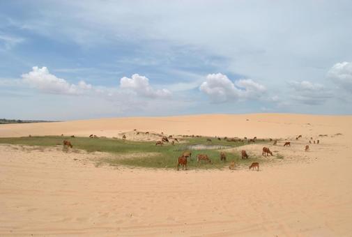 フェアリーストリーム フェアリーストリーム,ベトナム,風景の写真素材
