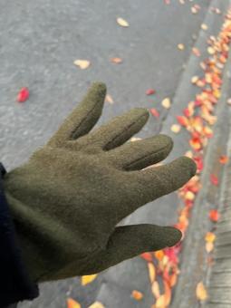 手袋と歩道の落ち葉 手袋,秋,落ち葉の写真素材