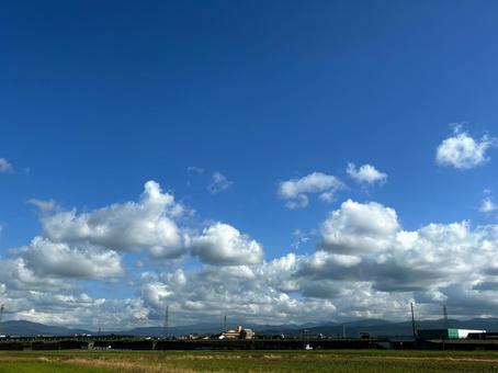 Photo, cloudy, grass, vision, 