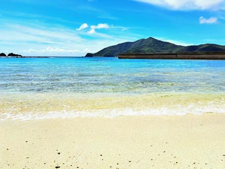 奄美 タエン浜 奄美 タエン浜 奄美,奄美大島,タエン浜の写真素材