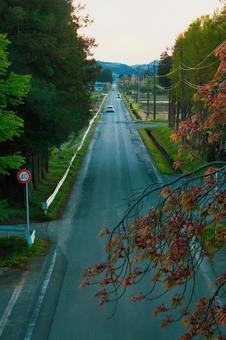田舎の40キロ制限の直線道路 田舎,一本道,道路の写真素材