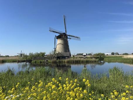 キンデルダイク＝エルスハウトの風車網 キンデルダイク,風車,オランダの写真素材