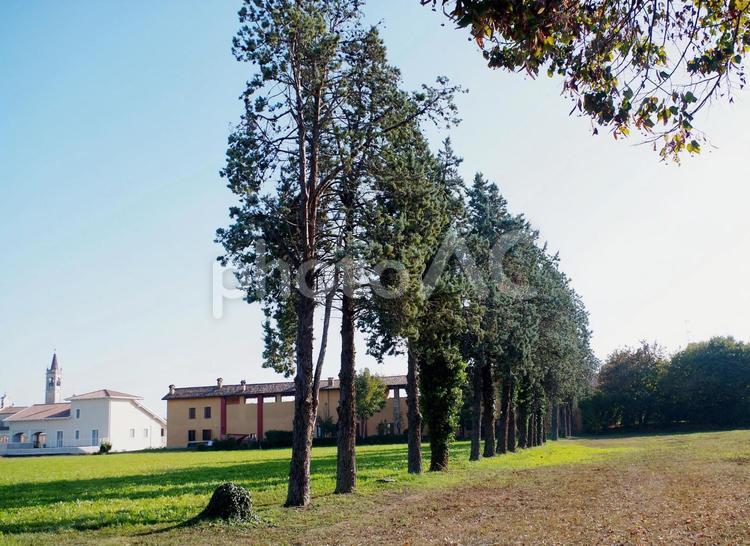 教会の塔が見える北イタリアの農村地帯 イタリア,北イタリア,ロンバルディアの写真素材