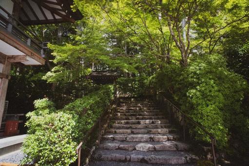 大原三千院のフィルムカメラ風 大原三千院のフィルムカメラ風 レトロ調,フィルムカメラ風,和風の写真素材
