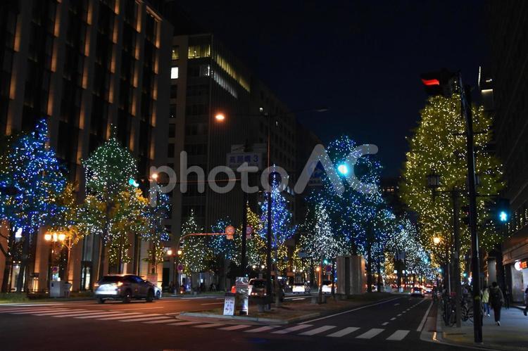 2023御堂筋イルミネーション 御堂筋,イルミネーション,夜景の写真素材