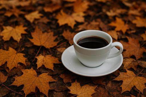 秋の落ち葉とコーヒーカップ 秋の落ち葉とコーヒーカップの写真