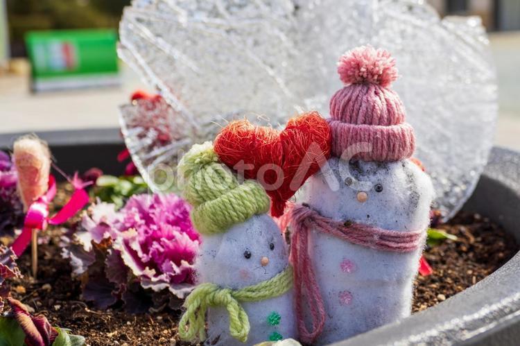 農業園芸センターの花壇⑶ 農業園芸センター,仙台市,花壇の写真素材