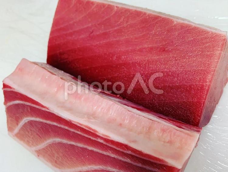 鮪 - No: 24778458｜写真素材なら「写真AC」無料（フリー）ダウンロードOK