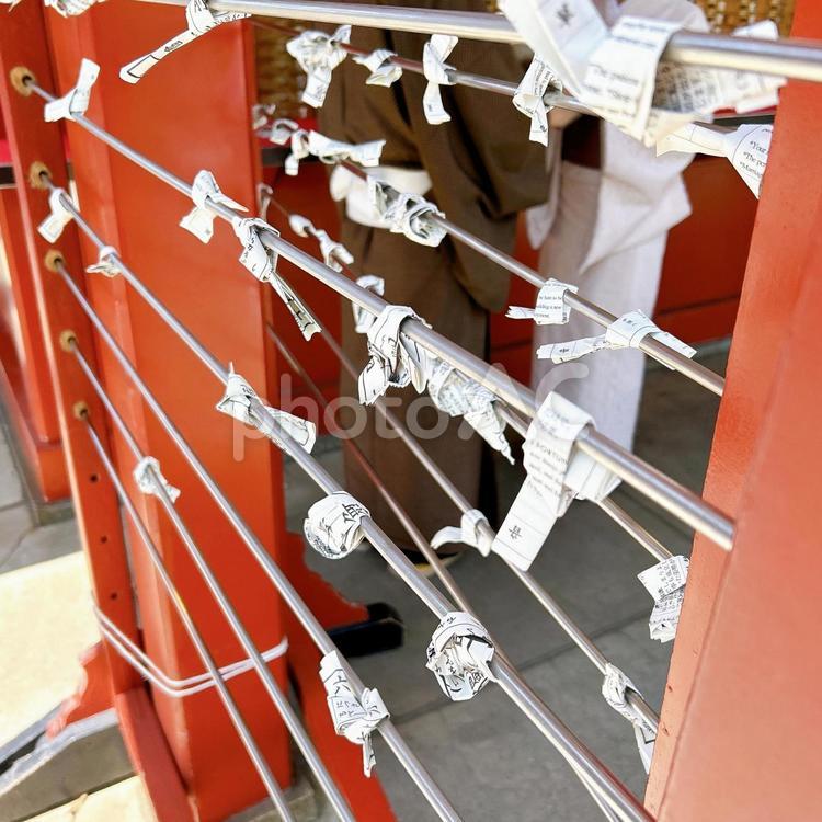 結ばれたおみくじ おみくじ,初詣,神社の写真素材