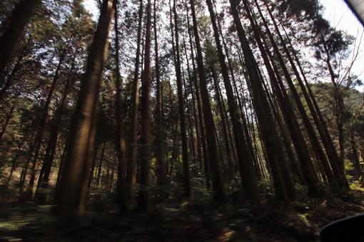 林 林の写真