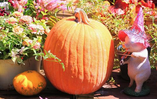 ハロウィン素材/お化けカボチャ ハロウィン素材/お化けカボチャ ハロウィン,カボチャ,お化けカボチャの写真素材