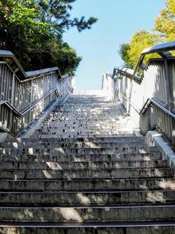 秋の江戸川区臨海町・散策路の階段・東京都の写真