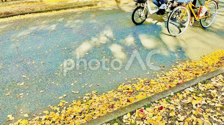 秋に楽しむサイクリング、銀杏の葉 サイクリング,自転車,エクササイズの写真素材