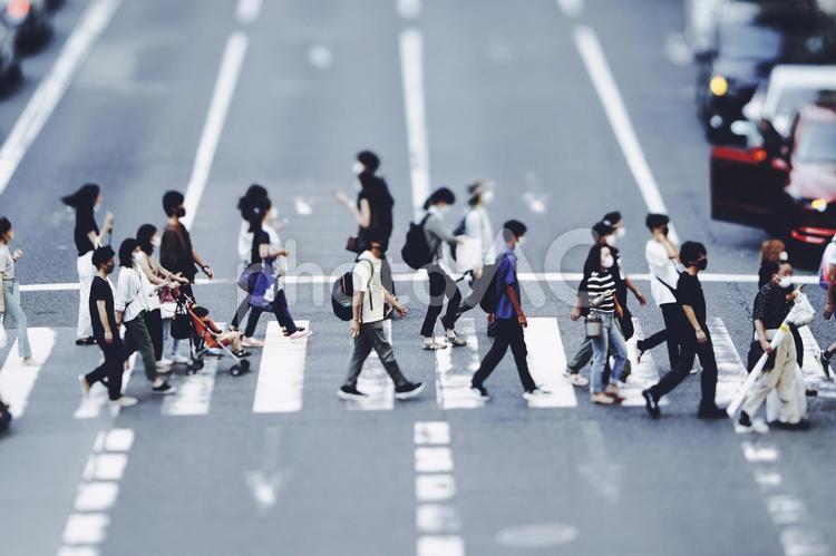 横断歩道を渡る人々 ビジネスイメージ 横断歩道,人,ビジネスの写真素材