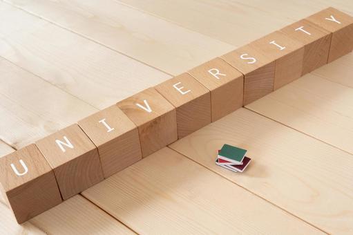 University, entrance exam, exam | Building blocks and miniature books with "UNIVERSITY" written on them University, entrance exam, exam | Building blocks and miniature books with "UNIVERSITY" written on them