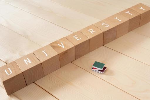 University, entrance exam, exam | Building blocks and miniature books with "UNIVERSITY" written on them, the university, admission, copy space, JPG