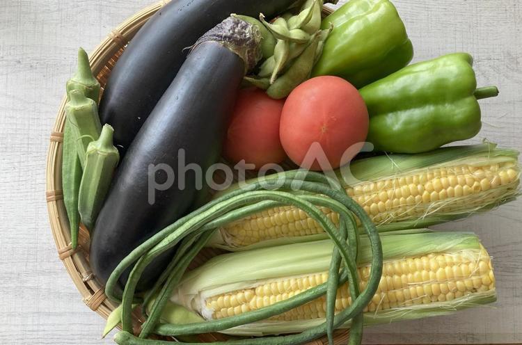 野菜生活　夏野菜のかご盛り 夏野菜,盛り合わせ,かご盛りの写真素材