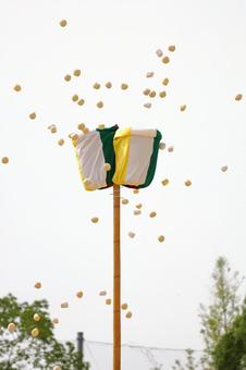 玉入れ運動会 玉入れ運動会 運動会,玉入れ,体育祭の写真素材