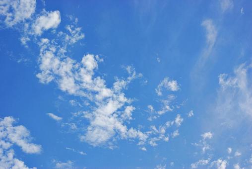 夏空 夏空の写真