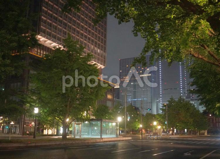 雨の丸の内夜景 都会,夜,道路の写真素材