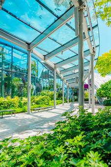 【シンガポール】ガーデンズバイザベイ 【シンガポール】ガーデンズバイザベイ シンガポール,ベイフロント,singaporeの写真素材