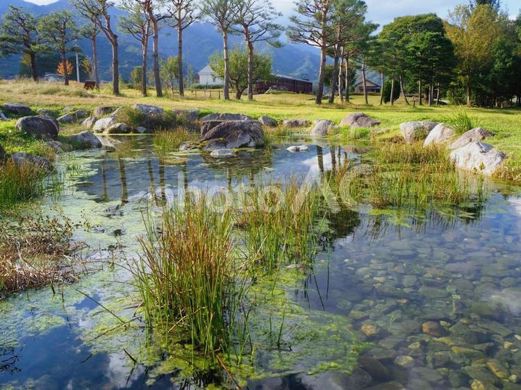 安曇野ちひろ公園 川,水面,水辺の写真素材