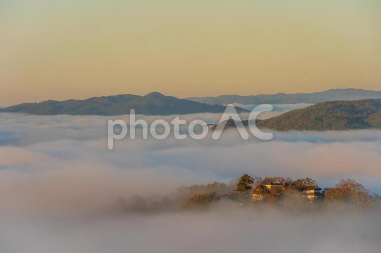 岡山県　備中松山城の雲海 14 天空の城,天空の山城,備中松山城の写真素材