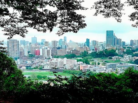 仙台城跡地からみた仙台の街並み 仙台城跡地からみた仙台の街並みの写真