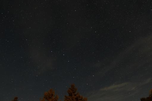 夏の北斗七星 夏の北斗七星の写真