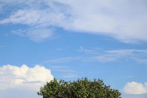 空 空の写真