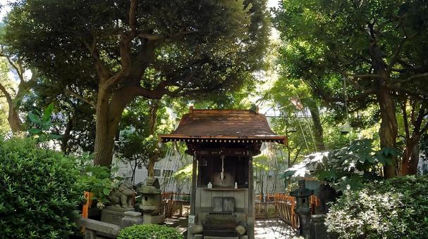 東京都墨田区横網　旧安田庭園内　駒止稲荷 駒止稲荷,江戸時代,安田庭園の写真素材