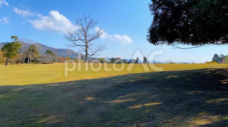 秋の奈良・紅葉の大和「奈良公園」飛火野 秋,飛火野,奈良の写真素材