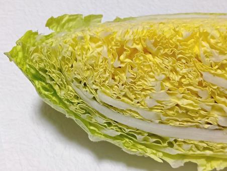 白菜 白菜,野菜,食材の写真素材