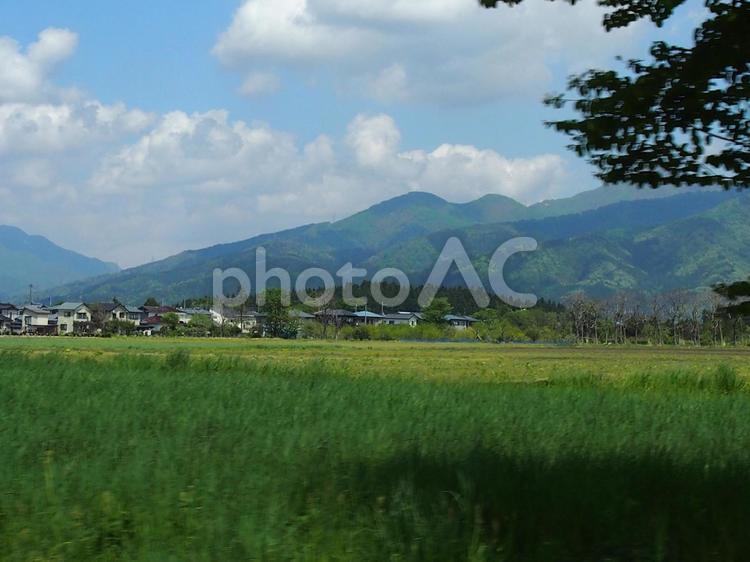 田舎の風景 森林,森,林の写真素材