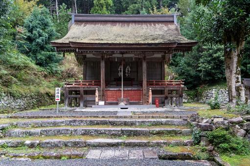 滋賀 日吉大社 東本宮 大物忌神社 滋賀 日吉大社 東本宮 大物忌神社 日吉大社,日枝社,日吉の写真素材