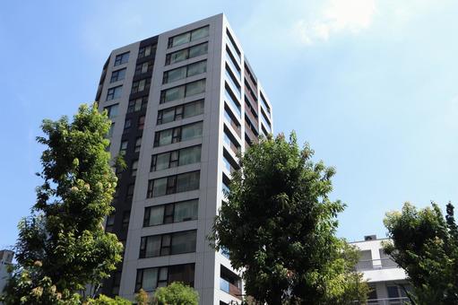 飯田橋　街並み 飯田橋,千代田区,街並みの写真素材