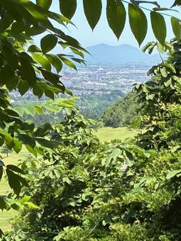 弥彦山と長岡市 弥彦山と長岡市の写真
