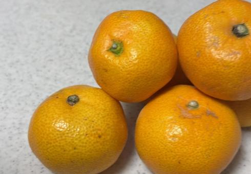 みかん みかん,果物,ミカンの写真素材