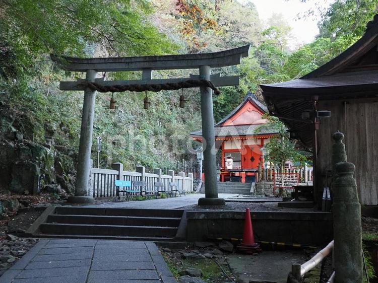 金刀比羅宮14 金刀比羅宮,厳魂神社,奥社の写真素材