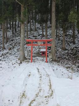 Photo, snow, torii, society, 