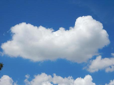 【風景写真】夏空の写真