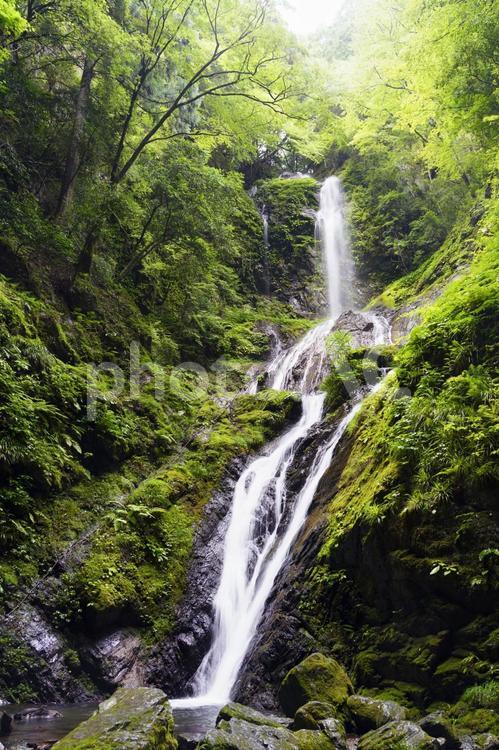 雨乞いの滝（雌滝） 自然,風景,瀧の写真素材