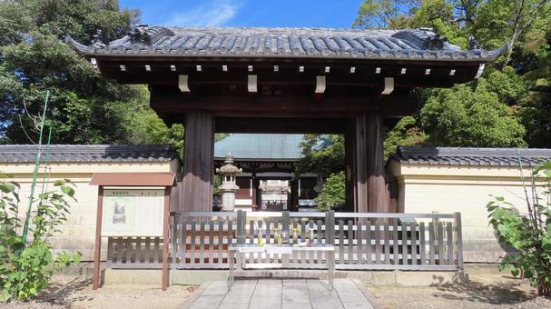 日泰寺　境内の風景　奉安塔エリア　通天門 日泰寺,覚王山,日本の写真素材