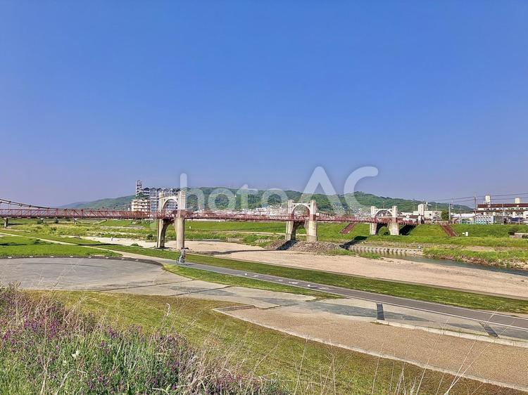 吊り橋 吊り橋,河川敷,土手の写真素材