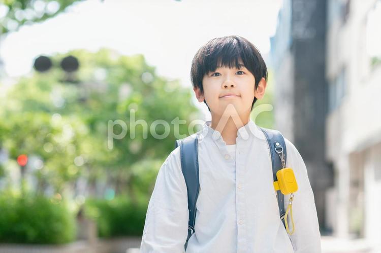 登校する小学生 登校,下校,歩くの写真素材
